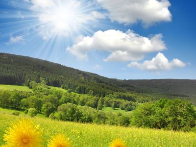 大量辅助函数和直接用的数据变量