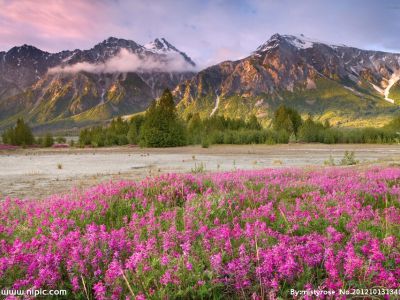 后台可以选择，直接切换列表风格