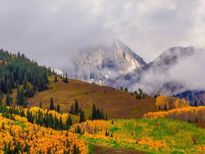 系统支持一键静态化