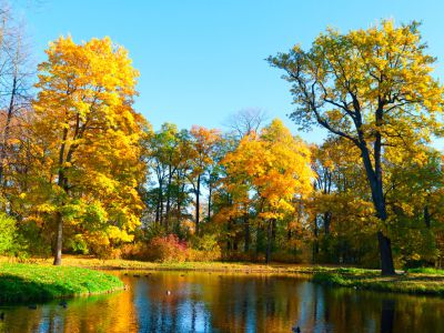 动态管理小块数据