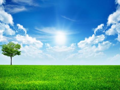 支持自定义表单